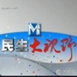 邯郸新闻爆料,最新爆料揭示城市动态与民生关注