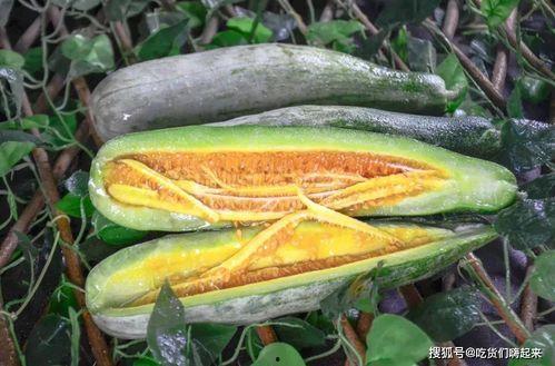 网红吃瓜图片大全,盘点那些让人捧腹大笑的搞笑瞬间