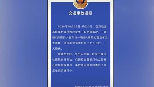 重庆爆料大足事件最新进展,揭秘真相与后续影响