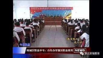 德州市最新爆料新闻报道,揭秘背后惊人真相！