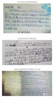 写字爆料娱乐圈,揭秘明星幕后故事