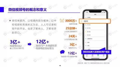 巅峰新地图爆料视频下载,探索未知领域，开启冒险之旅