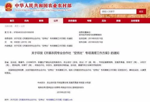 农村爆料标题大全最新新闻,揭秘最新农村热点事件背后的真相