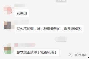 远安最新爆料事件视频,视频揭露惊人真相，事件背后有何隐情？