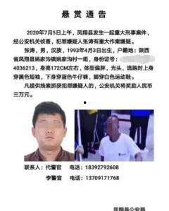 陕西老李前妻爆料新闻事件,揭秘婚姻背后的惊人真相