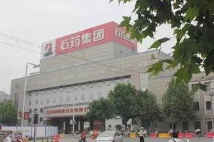 石家庄公司最新爆料,最新动态与重大爆料全解析