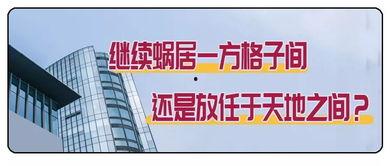 石家庄公司最新爆料,最新动态与重大爆料全解析