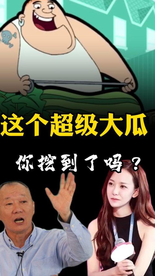 超级吃瓜小说免费阅读,揭秘娱乐圈背后的秘密与真相