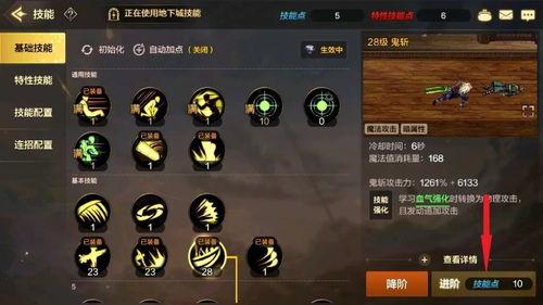 流浪者爆料技能介绍视频,技能介绍视频深度解析