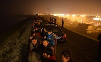 坠入在线观看,揭秘神秘世界的奇幻之旅