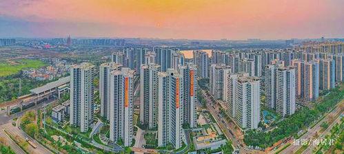 海口楼市最新爆料,揭秘最新价格走势与热门项目盘点