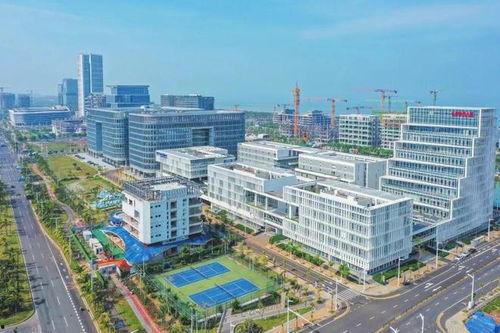 海口楼市最新爆料,揭秘最新价格走势与热门项目盘点