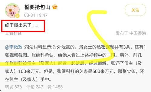 原木之星最新爆料视频,揭秘神秘游戏背后的精彩故事