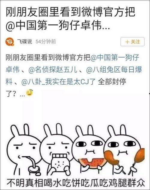 娱乐吃瓜文章大全,吃瓜文章大全，带你领略明星幕后故事