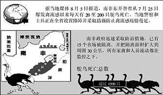 新闻爆料禽流感,紧急应对与防控措施全面启动