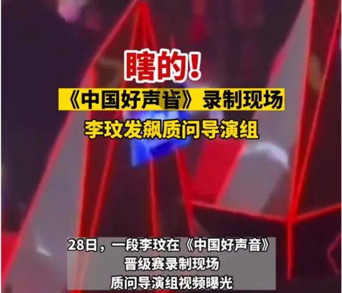 好声音爆料视频完整版,选手幕后故事与精彩瞬间