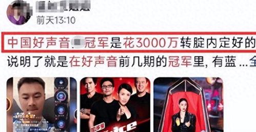 好声音爆料视频完整版,选手幕后故事与精彩瞬间
