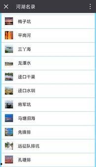 崇阳最新爆料消息查询网,揭秘事件背后惊人真相