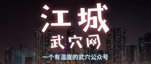 武穴市最新爆料,揭秘城市变迁与发展新动向