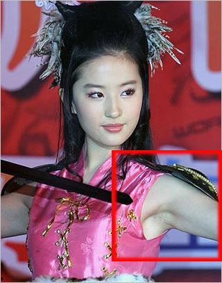 刘亦菲天涯爆料瘦马视频,揭秘“瘦马”背后的真实故事
