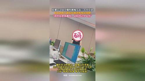 拖欠工资新闻爆料电话,揭秘举报电话背后的真相