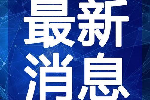小海森最新爆料视频,独家视频内容深度解析